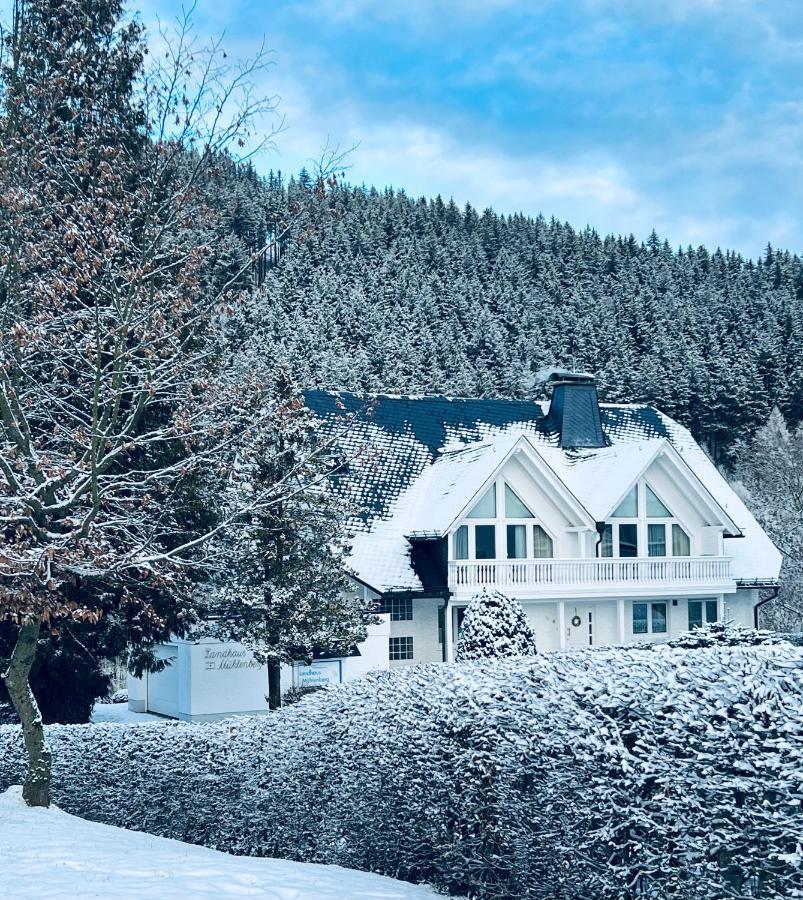 Landhaus Muehlenberg ヴィリンゲン エクステリア 写真